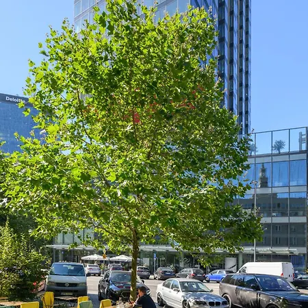 Centrum Twarda Apartmán *