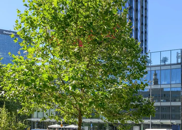 Centrum Twarda Apartman *